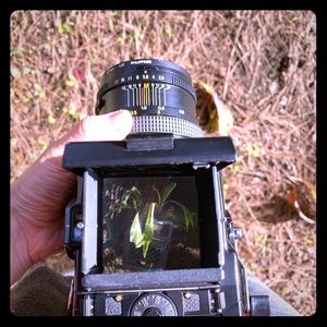 Meet your Posher, Elisabeth